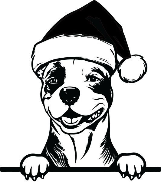 Americký staffordšírský teriér - J (Vánoční)