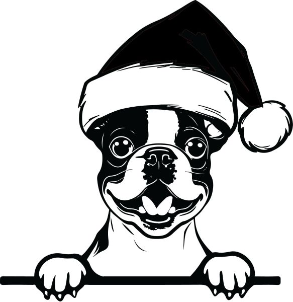 Bostonstký teriér - G (Vánoční)