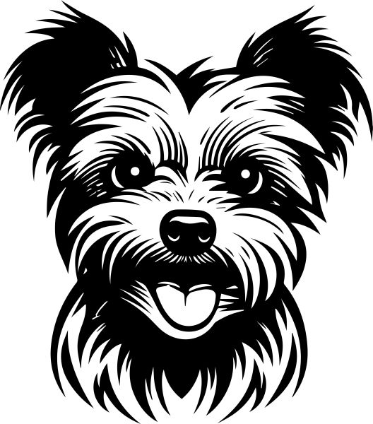 Jorkšírský teriér - F