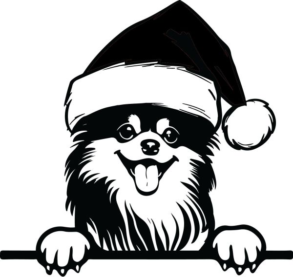 Pomeranian - G (Vánoční)