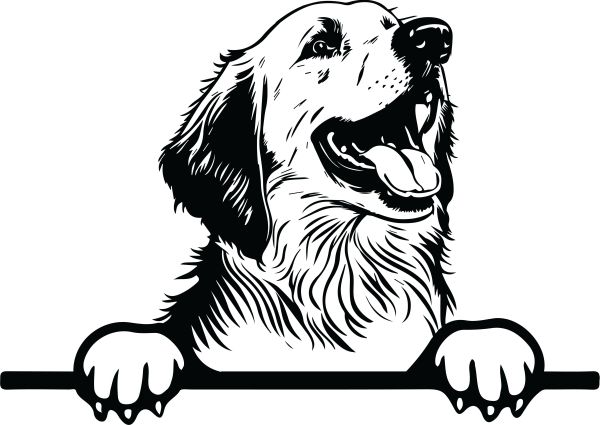 Pyrenejský horský pes - I