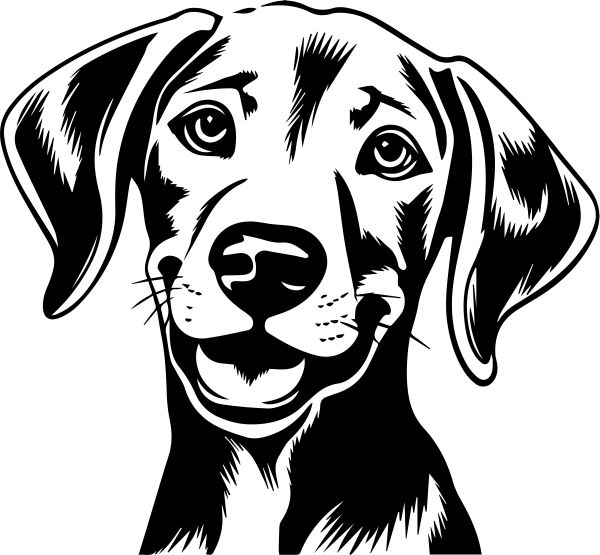 Výmarský ohař - E