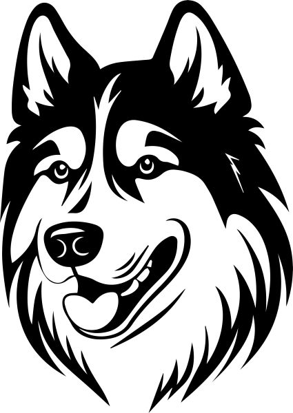 Sibiřský husky - E