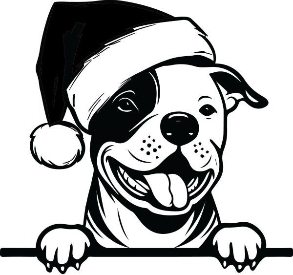 Stafordširský bulteriér - F (Vánoční)