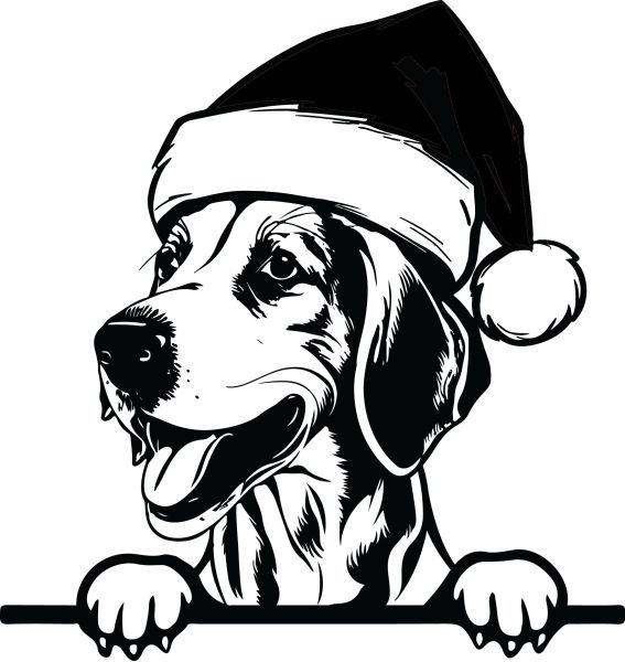 Anglický foxhound - F (Vánoční)