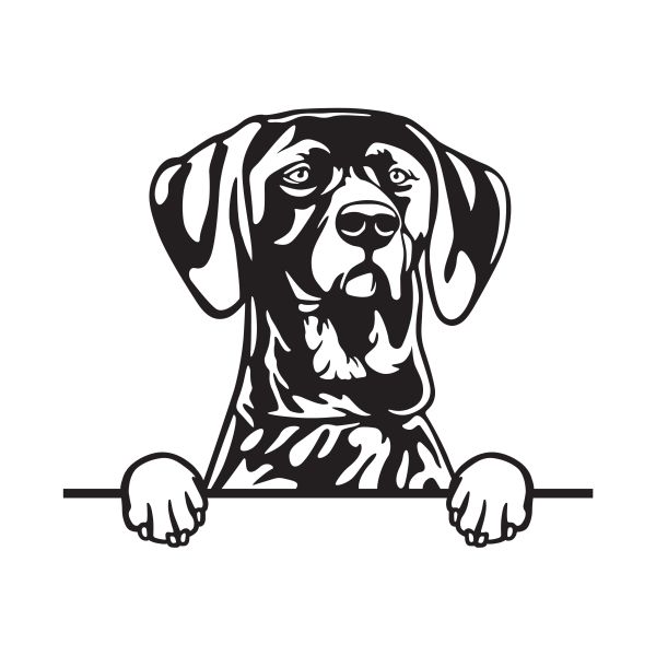 Německý ohař - krátkosrstý - A