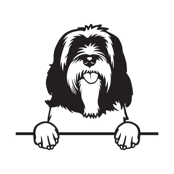 Tibetský teriér-Tibetan Terriers