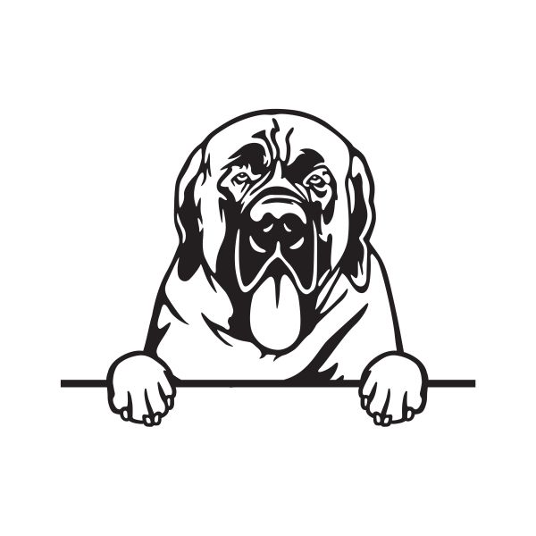 Anglický mastif - A