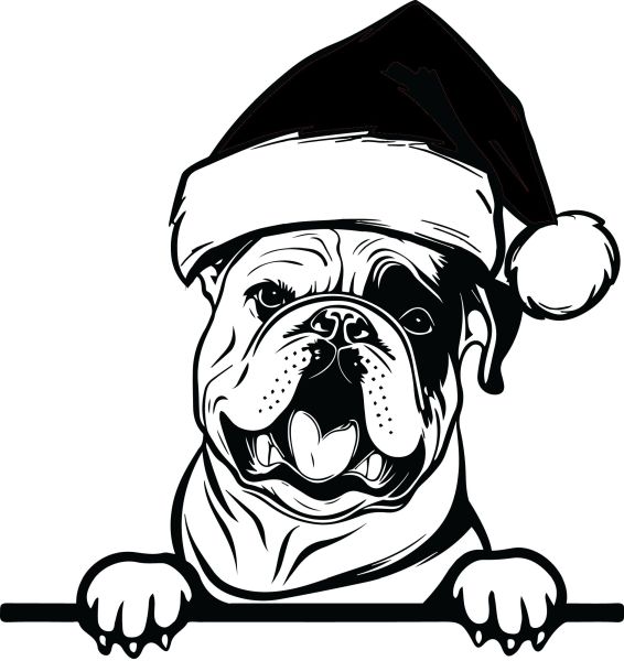 Buldog - S (Vánoční)