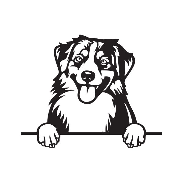 Miniaturní americký ovčák - A