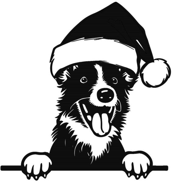 Vlčí špic (Keeshond) - F (Vánoční)