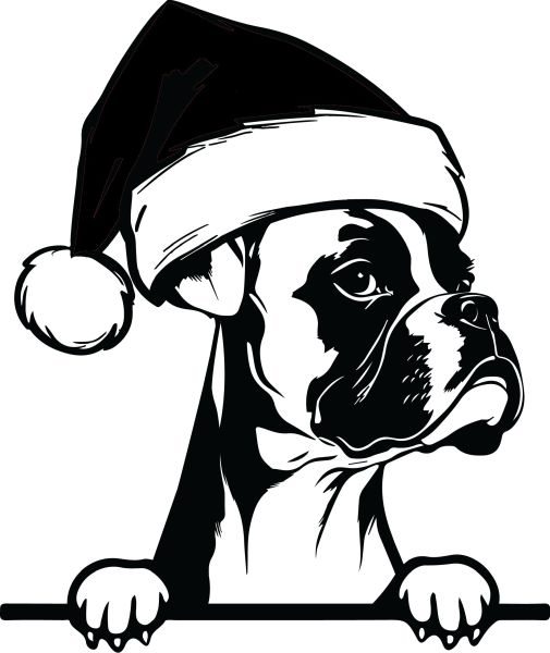 Boxer - K (Vánoční)