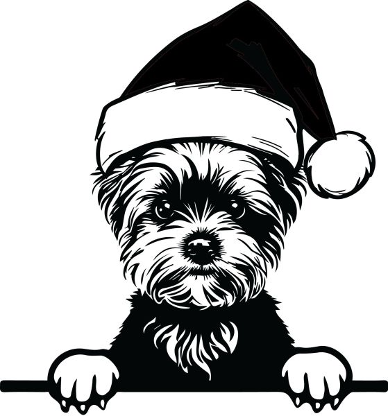 Jorkšírský teriér - L (Vánoční)