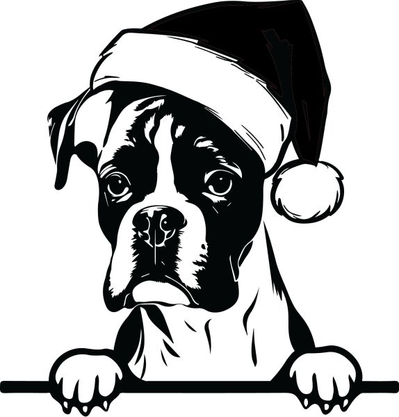 Boxer - J (Vánoční)