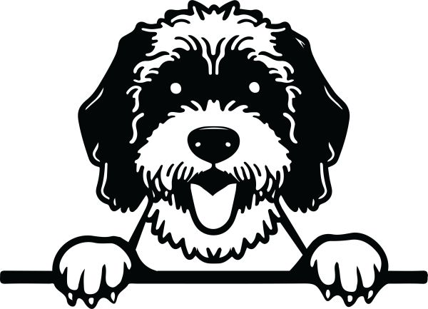 Portugalský vodní pes - E