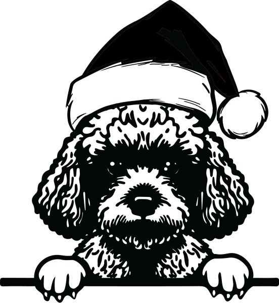 Pudl - H (Vánoční)