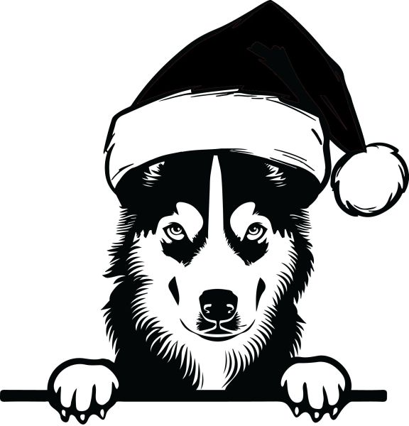 Sibiřský husky - J (Vánoční)