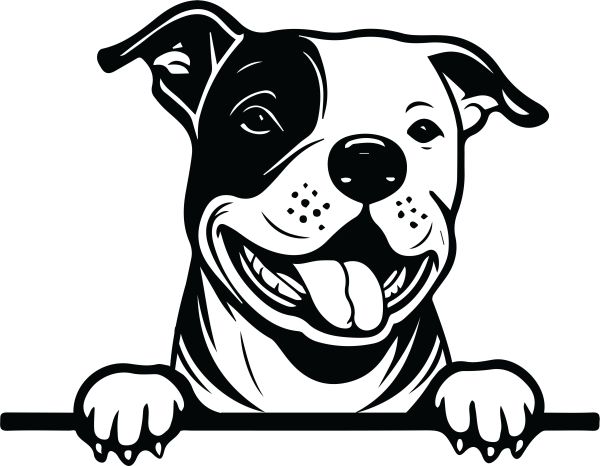 Stafordširský bulteriér - E