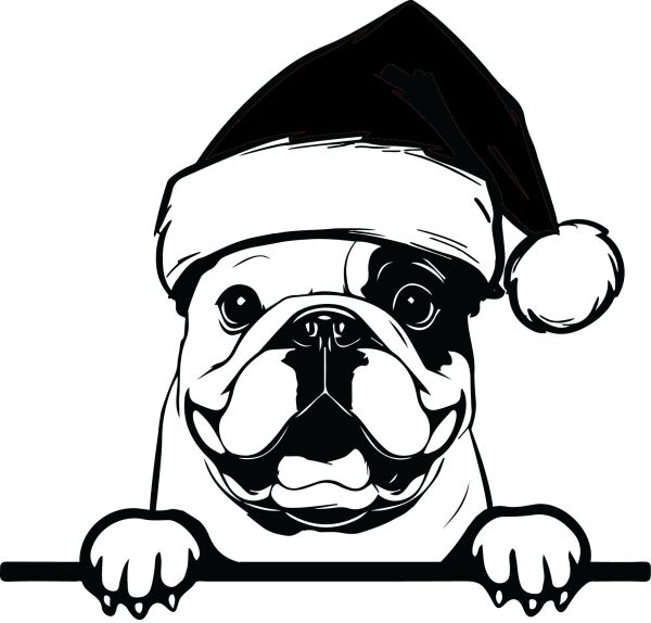 Buldog - U (Vánoční)
