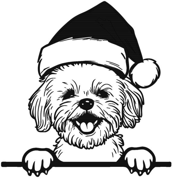 Maltézský psík - F (Vánoční)