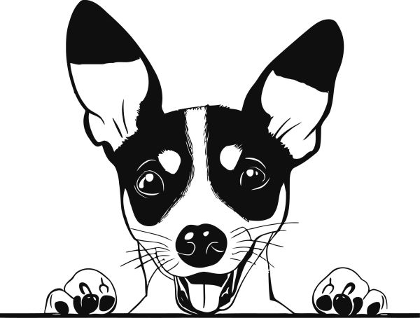 Pražský krysařík - B