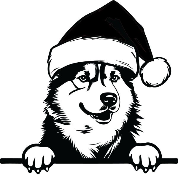 Aljašský malamut - F (Vánoční)