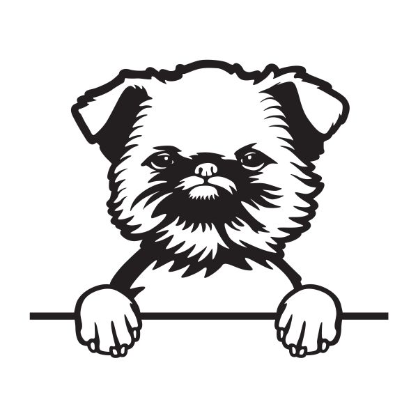 Bruselský grifonek - A