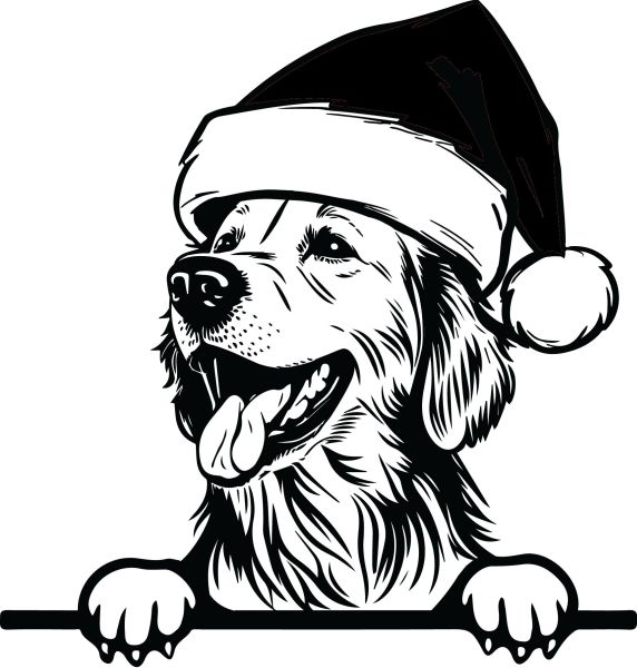 Zlatý retrívr - K (Vánoční)