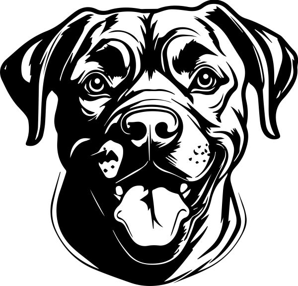 Cane Corso - D