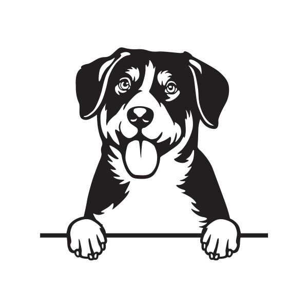 Entlebušský salašnický pes - A