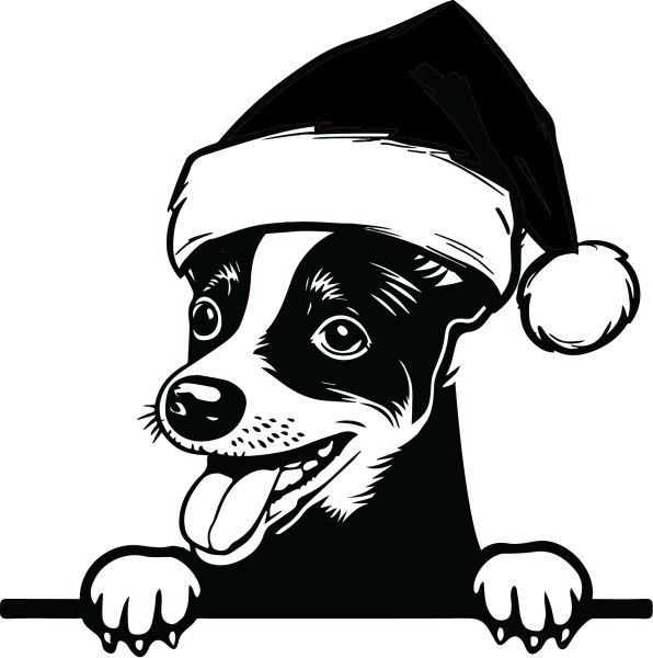 Krysí teriér - F (Vánoční)