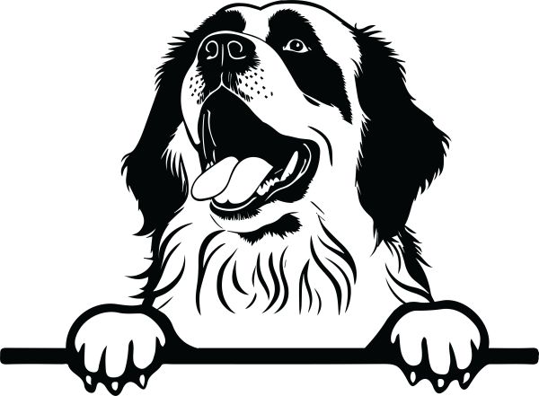 Novofundlandský pes - H