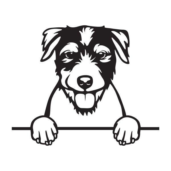 Parson Russell teriér - A