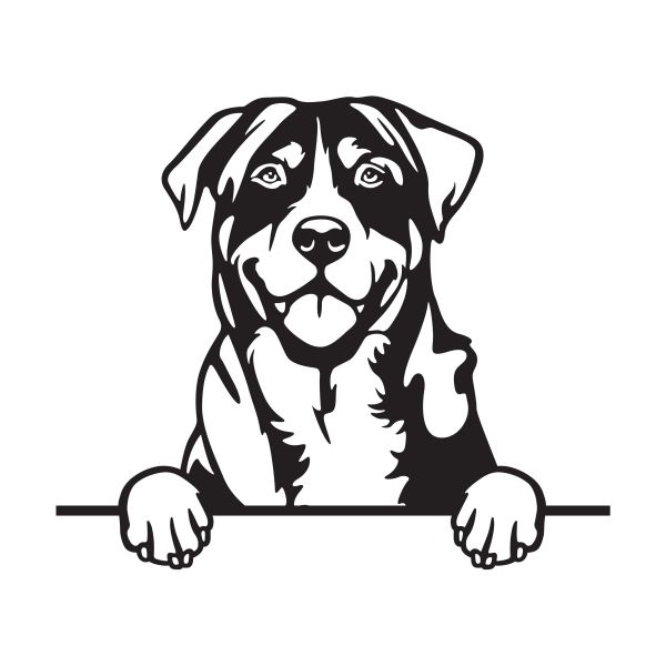 Velký švýcarský salašnický pes - A