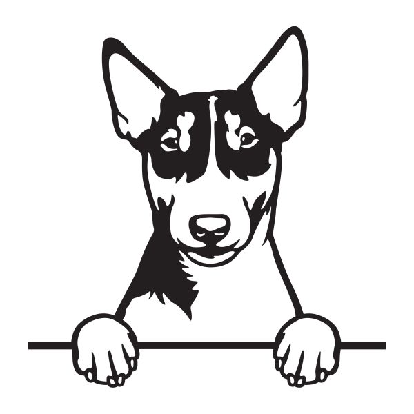 Miniaturní bulteriér - A