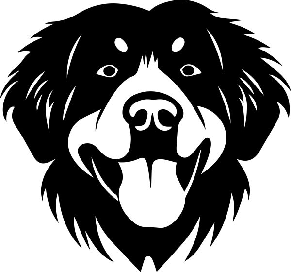 Novofundlandský pes - F