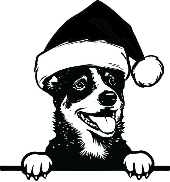 Australský honácký pes - N (Vánoční)