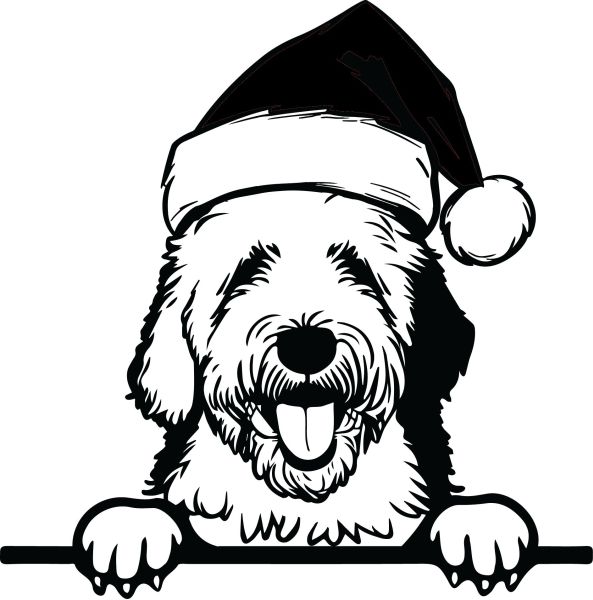 Bobtail - Staroanglický ovčák (bobtail) - J (Vánoční)