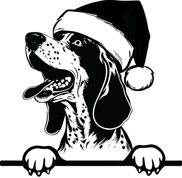 Modrý mývalí pes - (modrý coonhound) - G (Vánoční)