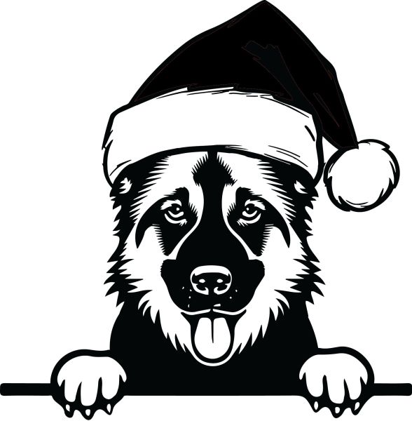 Německý ovčák krátkosrstý - M (Vánoční)