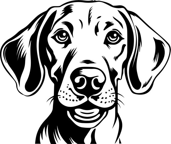 Výmarský ohař - F