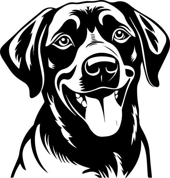 Labradorský retrívr - H