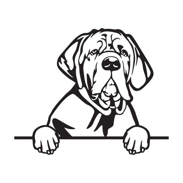 Neapolský mastin - A