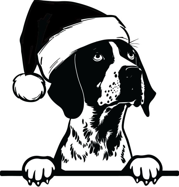 Německý ohař - krátkosrstý - I (Vánoční)