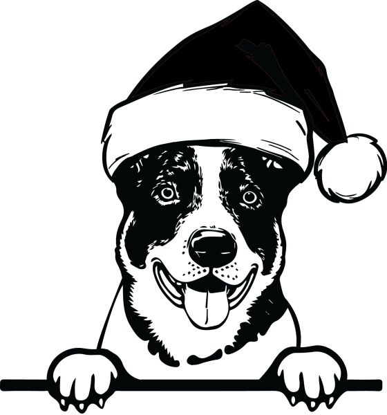 Australský honácký pes - M (Vánoční)