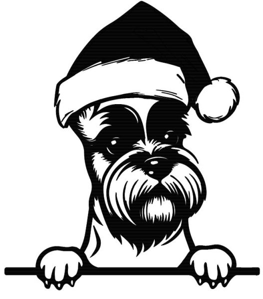 Knírač - J (Vánoční)