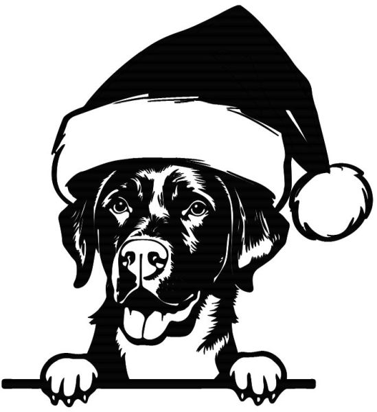 Labradorský retrívr - M (Vánoční)