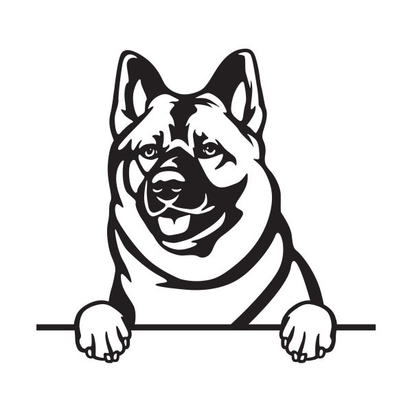 Norský losí pes šedý - A