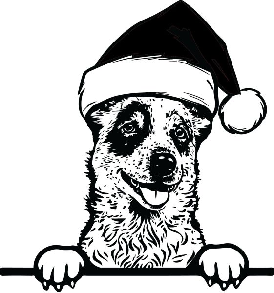 Australský honácký pes - O (Vánoční)