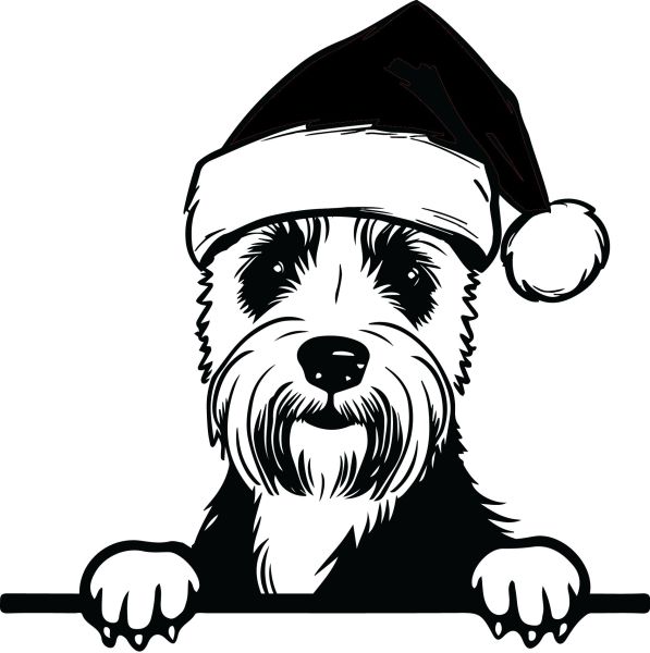 Erdelteriér - F (Vánoční)